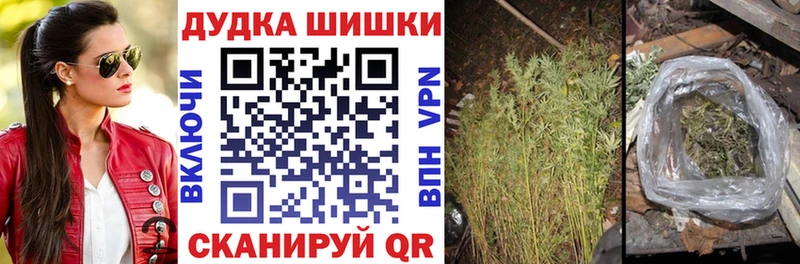 Бошки марихуана AK-47  где купить наркоту  Ковров 